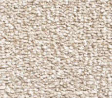 cream thick saxony carpet availble from Baildon flooring showroom. carpet shop baildon