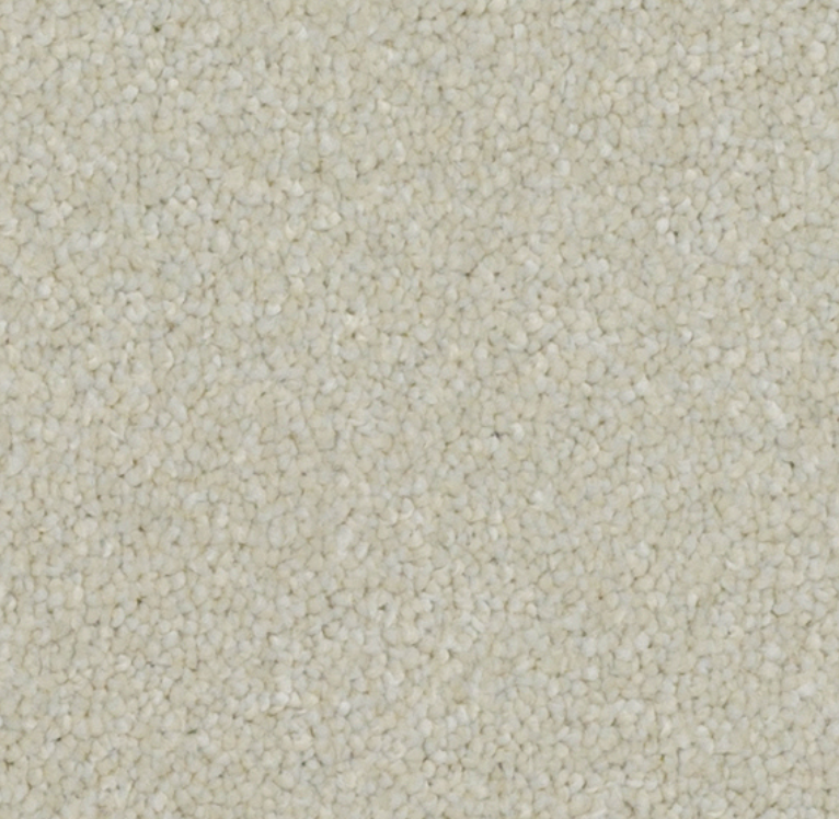 cream luxury saxony carpet recently purchased in Baildon from the showroom. carpet shop baildon